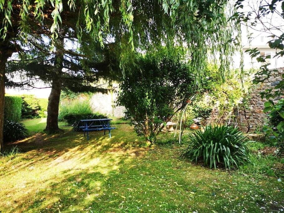Coeur De Ville, Spacieux Rez De Jardin Apartamento